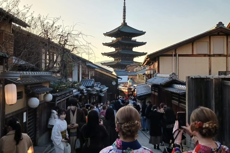 كيوتو/نارا: جولة عائلية ممتعة وثقافية بالسيارة مع خدمة التوصيل من الفندق