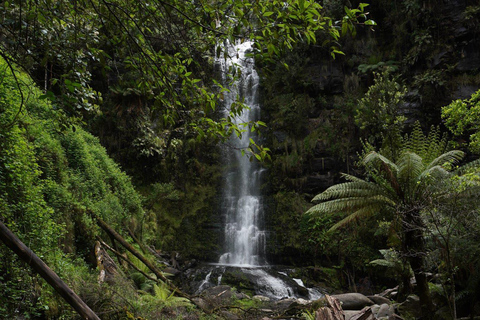 2-Day Private Premium Great Ocean Road Tour
