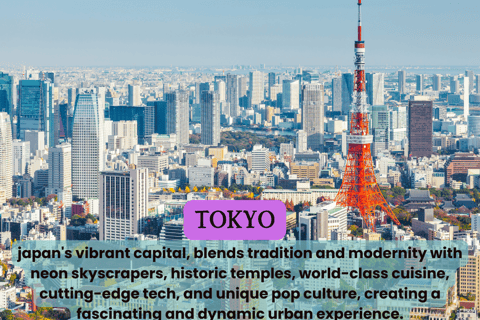 Tokyo Unforgettable Private Tour for Family(up-to 6 persons)