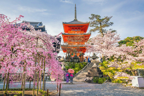 Kyoto: Highlight-Tour mit englischsprachigem Fahrer