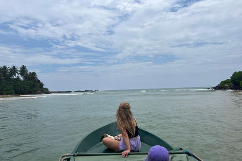 Port de croisière de Colombo : Galle, Écloserie de tortues et safari fluvial