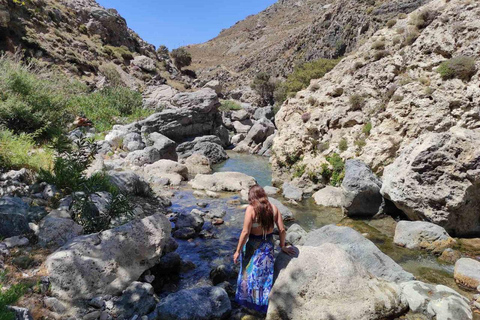 Excursion privée en jeep dans les gorges de Kourtaliotiko, à Preveli et au village de SpiliVisite de groupe à Kourtaliotiko, à la plage de palmiers de Preveli et au village tra
