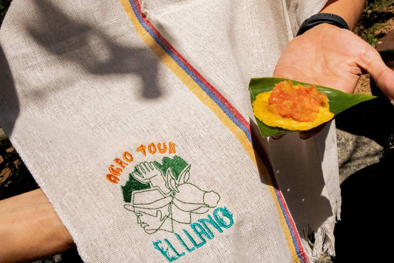 Medellin: Coffee and fruit tour