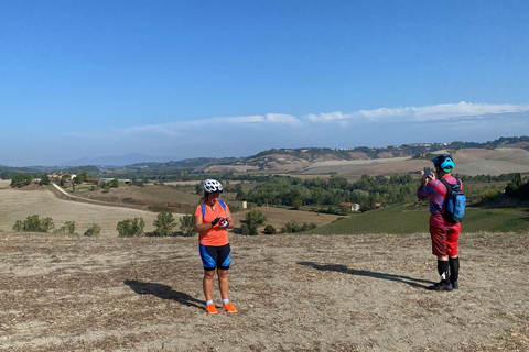 Terricciola Lajatico Hills E-Bike Tour + Wine Food Tasting Pisa Chianti Hills e-bike Guided Tour - Wine tasting