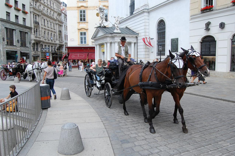 Dagvullende tour van Praag naar Wenen