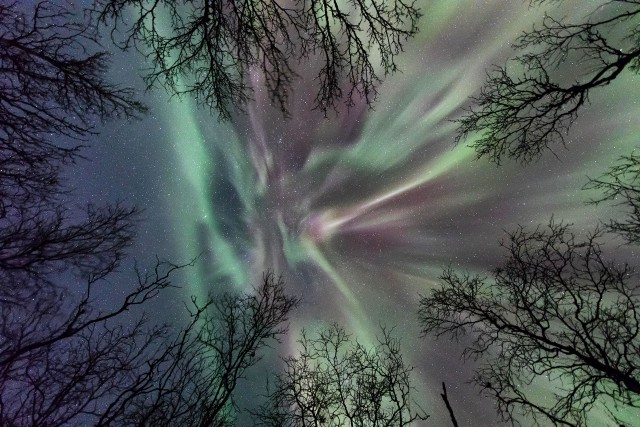 Visit Abisko Guided Autumn Aurora Chase with Hotel Transfers in Abisko