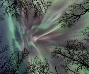 Abisko: Guided Autumn Aurora Chase with Hotel Transfers