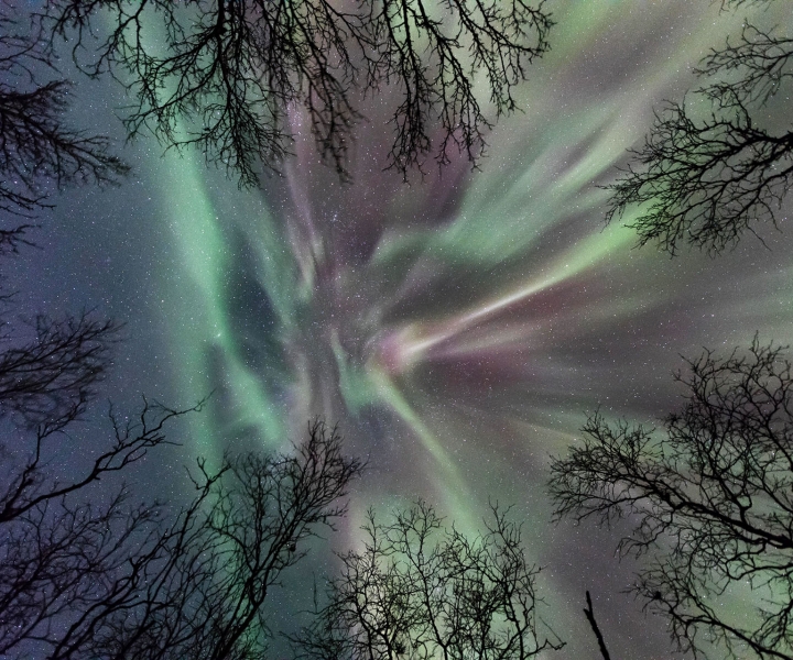 Abisko: Guided Autumn Aurora Chase with Hotel Transfers