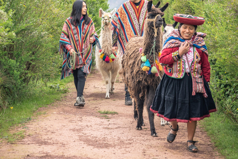 Chinchero, Moray, Maras & Picnic con Llamas From Cusco: Moray, Maras Salt Mines, and Chinchero with …