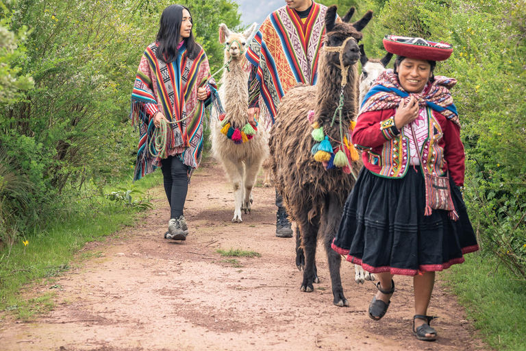 Chinchero, Moray, Maras &amp; Picnic con LlamasFrom Cusco: Moray, Maras Salt Mines, and Chinchero with …