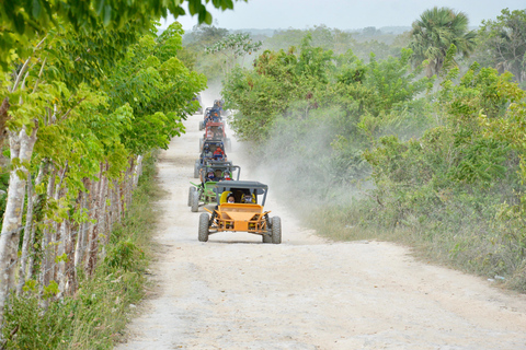 Buggy Tigre Selvagem: As melhores excursões de buggy em Punta CanaBuggy familiar (até 4 pessoas)