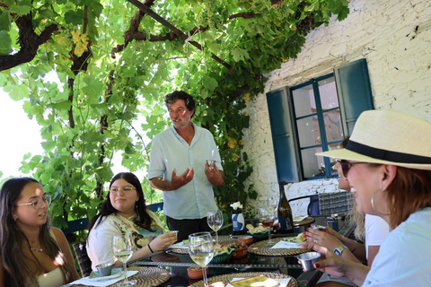 From Porto: 2 Boutique Wineries w/ Winery Lunch & 1-h cruise Tour in English