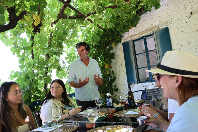 From Porto: 2 Boutique Wineries w/ Winery Lunch & 1-h cruise Tour in English