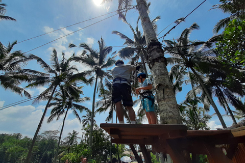 Ubud: Foresta di scimmie, terrazze di riso e cascateUbud: Foresta di scimmie, terrazza di riso e cascata