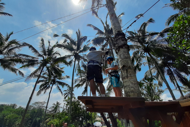 Ubud: Foresta di scimmie, terrazze di riso e cascateUbud: Foresta di scimmie, terrazza di riso e cascata