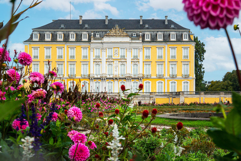 Bonn in 1 Day: Walking Tour with Digital Guide€15.00 - Duo ticket