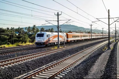 Sansibar: 3-tägige Mikumi-Nationalpark-Safari mit dem SGR-Zug