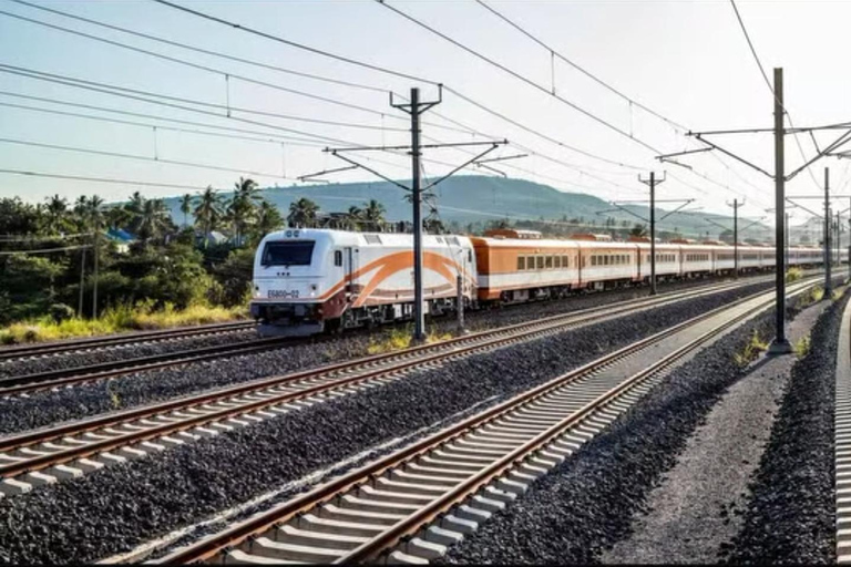 Sansibar: 3-tägige Mikumi-Nationalpark-Safari mit dem SGR-Zug