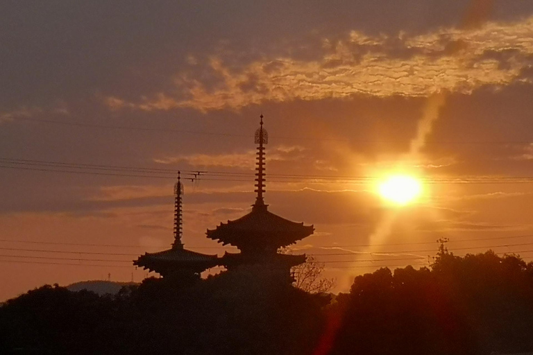 Nara: Yakushiji Tour – Toshodaiji or Sutra Copying Option Yakushiji + Sutra Copying Experience Option