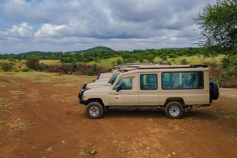 From Arusha: Tarangire National Park Safari Day trip