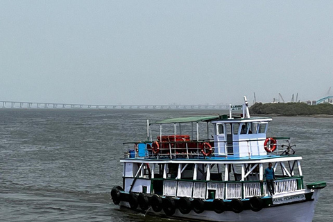 Mumbai: Elephanta Island Heritage Walk with Local Guide Private Tour