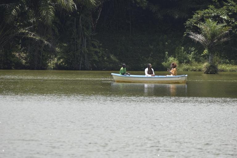 Tanzania: 8-Day Road Trip to Kilimanjaro, Lushoto & More