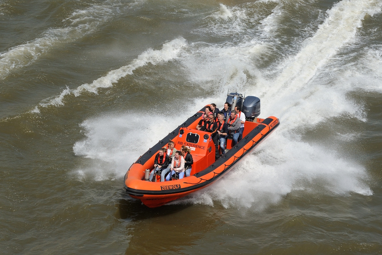 Rotterdam : Croisière touristique en bateau rapide (RIB)Croisière urbaine rapide de 45 minutes