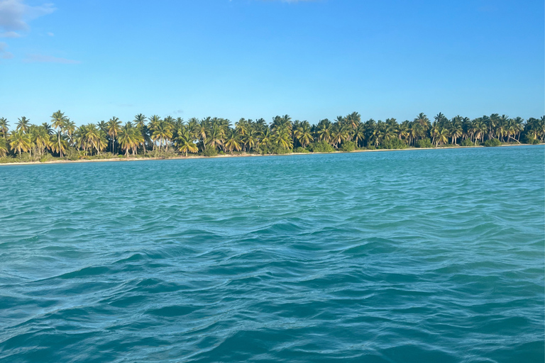 Punta Cana : excursion exclusive en catamaran privé vers l&#039;île de Saona - Service VIPPunta Cana : excursion exclusive en catamaran privé à l&#039;île de Saona – Service VIP