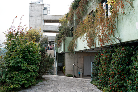 Green Bunker Tour on St. Pauli – the original