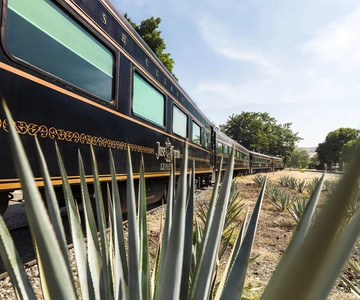 From Guadalajara: La Rojeña Distillery & Jose Cuervo Train