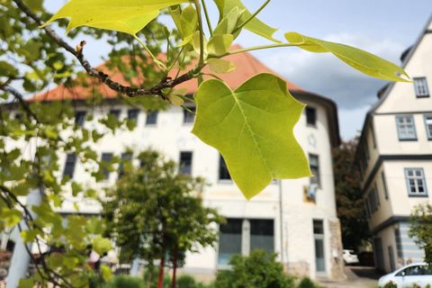 Erfurt: Discover the City's Greenery – A Tree Tour for Explorers Erfurt: Experience the City's Greenery – A Tree Tour for Explorers