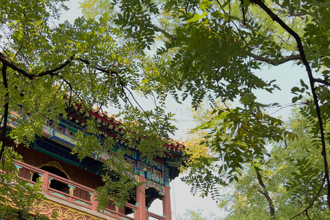 Beijing:3Hour Feng Shui Tour Seeking Good Fortune in Hutongs