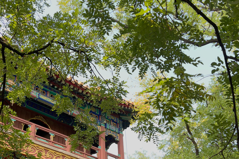 Beijing:3Hour Feng Shui Tour Seeking Good Fortune in Hutongs