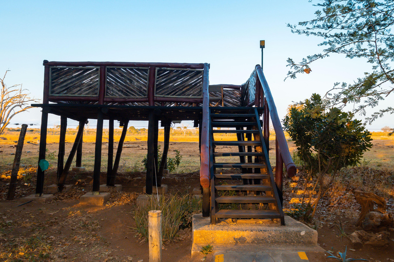 From Diani Beach or Mombasa: 2-Day Tsavo East Safari