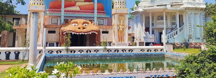 Visite privée de Negombo : marché, temples et canal