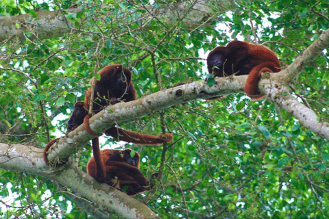 Santa Marta : excursion en paddleboard sur la rivière Don Diego et visite d'une chocolaterieSanta Marta : excursion en paddleboard sur la rivière Don Diego et dégustation de cho