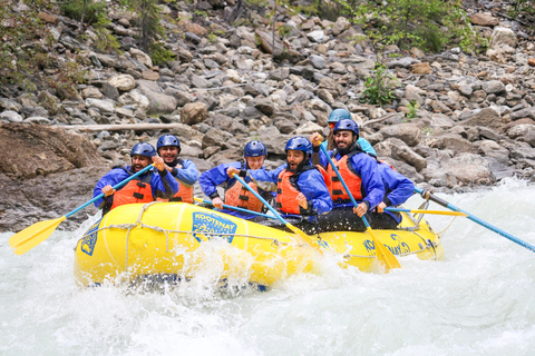Golden, BC: Kicking Horse River Whitewater Rafting Adventure