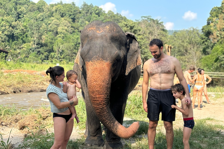 Chiang Mai 2-Day: Good Morning Elephant & Overnight Homestay