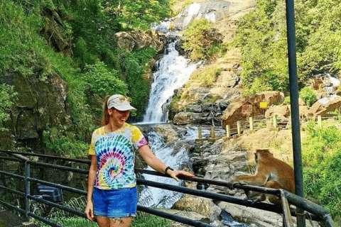 Ella: Full Day 6Highlights Tour by Tuk-Tuk