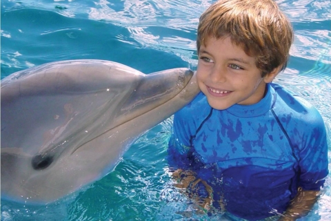 Dolphin Encounter w Ocean World, Puerto Platastandard Opcja