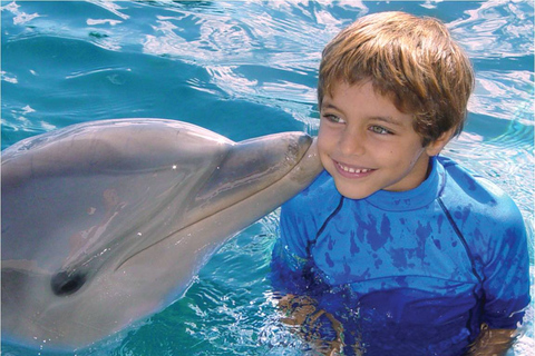 Encontro com golfinhos no Ocean World, Puerto PlataOpção Padrão