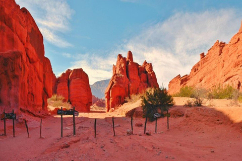 Depuis Salta : Excursion à Cafayate