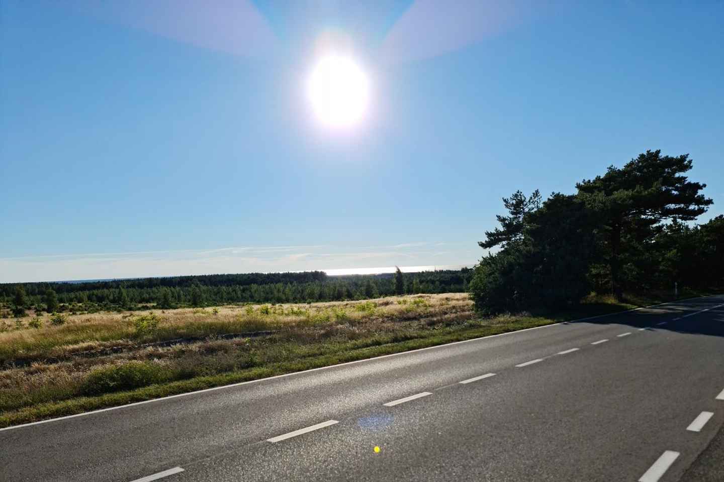 Private Tour: Amber Catching in Curonian Spit from Klaipeda