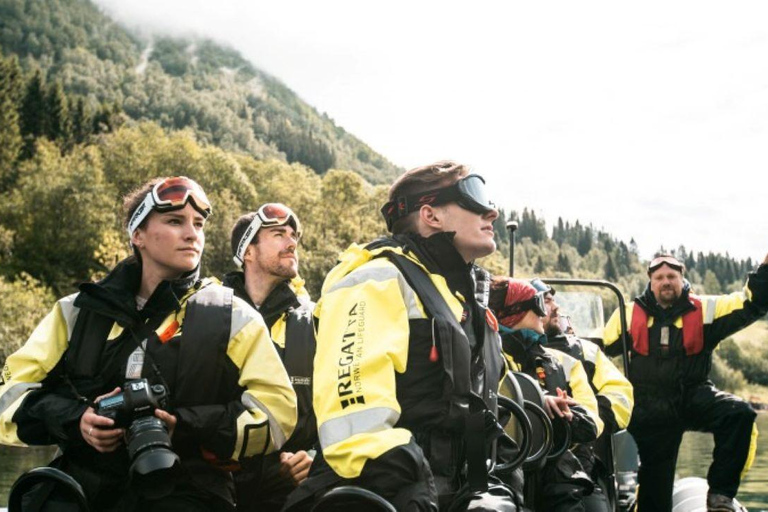 Balestrand: Fjord Sightseeing by Fast Boat
