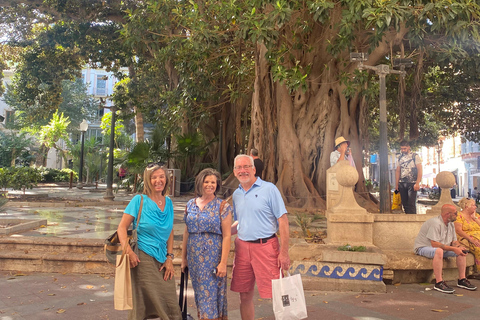 Alicante: Private Easy-walking City Tour & Castle.Shore also