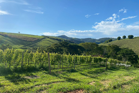 Rio de Janeiro: winery tour with wine tasting experience