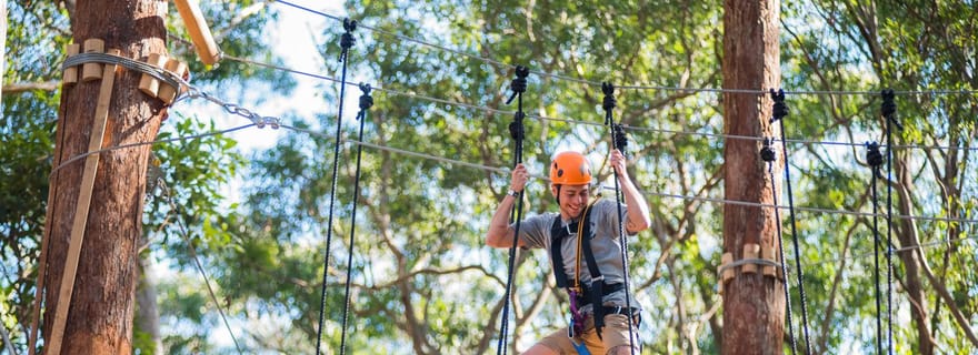 Coffs Harbour : Treetops Adventure Tree Ropes Course