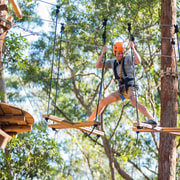 Coffs Harbour: Treetops Adventure Tree Ropes Course