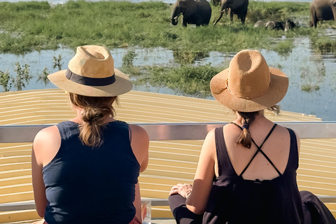 Victoria Fall: Guided Chobe Game Drive, River Cruise & Lunch