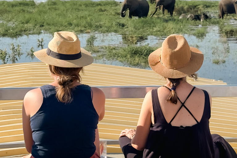 Victoria Fall: Guided Chobe Game Drive, River Cruise & Lunch